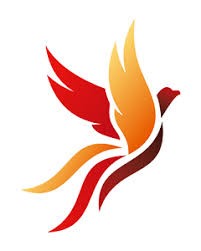 CÔNG TY TNHH THƯƠNG MẠI DỊCH VỤ VÀ PHÁT TRIỂN TRẦN VỸ PLUS